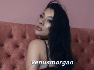 Venusmorgan