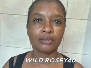 WILD_ROSEY40