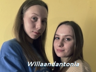 Willaandantonia