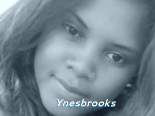 Ynesbrooks