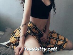 Yourkitty_catt